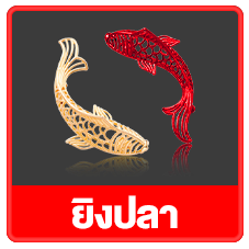 จุ้ยซี่789